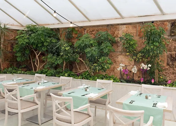 فندق Ona Palmira باغيرا